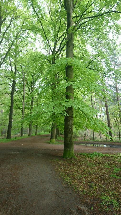 Overbosch Bilthoven Exterior foto